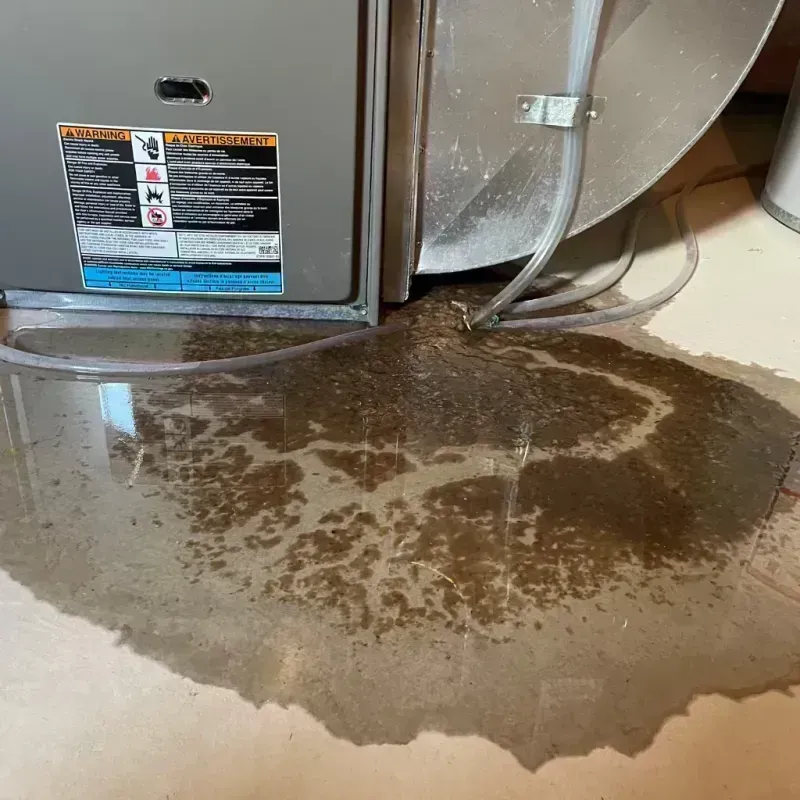 Appliance Leak Cleanup in Jackson, MO